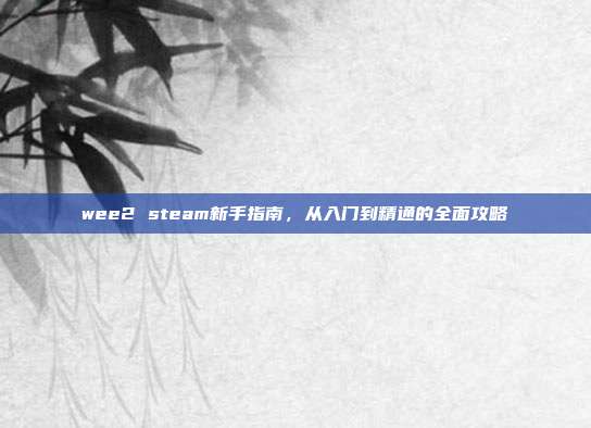 wee2 steam新手指南，从入门到精通的全面攻略