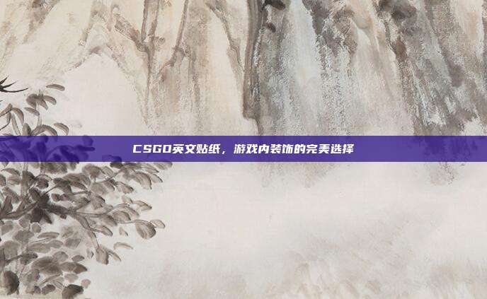 CSGO英文贴纸,游戏内装饰的完美选择
