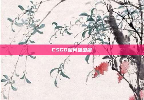 CSGO如何回国服