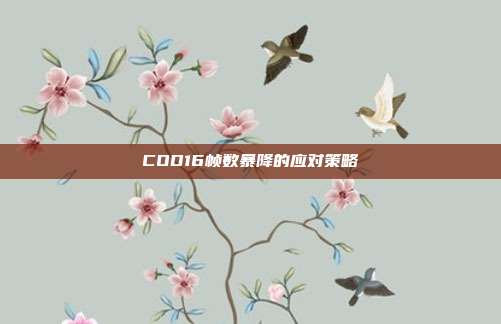 COD16帧数暴降的应对策略