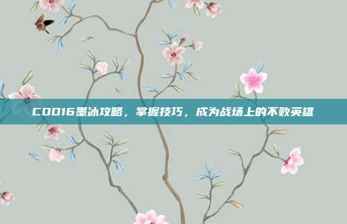 COD16墨冰攻略,掌握技巧,成为战场上的不败英雄
