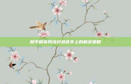 和平精英网络突然连不上的解决策略