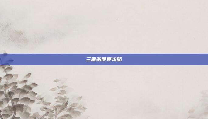 三国杀便便攻略