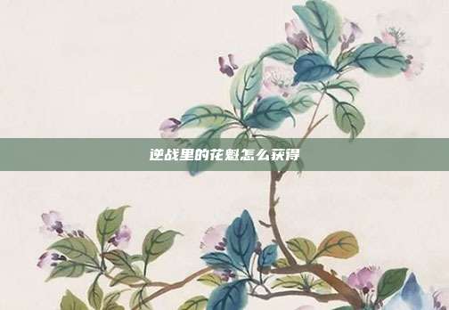 逆战里的花魁怎么获得
