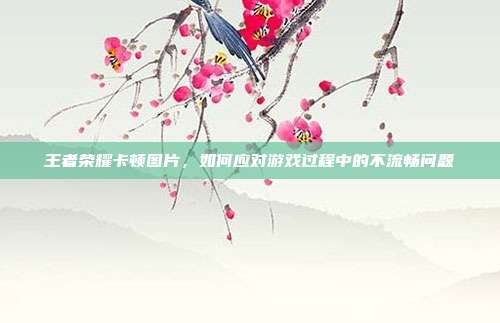 王者荣耀卡顿图片,如何应对游戏过程中的不流畅问题
