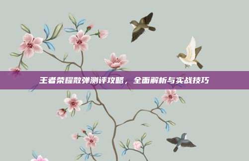 王者荣耀散弹测评攻略,全面解析与实战技巧