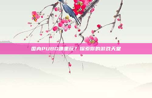 国内PUBG哪里玩?探索你的游戏天堂