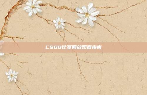 CSGO比赛回放观看指南
