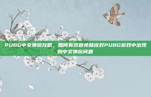 PUBG中文弹窗攻略,如何有效避免和应对PUBG游戏中出现的中文弹窗问题