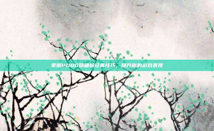 掌握PUBG精确标设置技巧,提升你的游戏表现