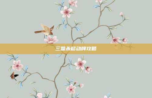 三国杀移动牌攻略