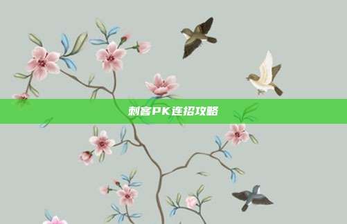 刺客PK连招攻略