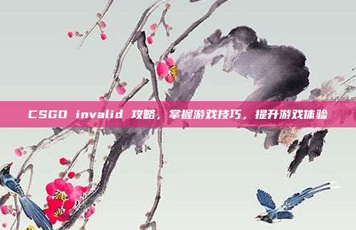 CSGO invalid 攻略,掌握游戏技巧,提升游戏体验