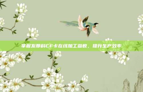 掌握发那科CF卡在线加工参数，提升生产效率