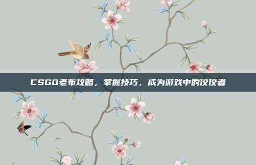 CSGO老布攻略,掌握技巧,成为游戏中的佼佼者