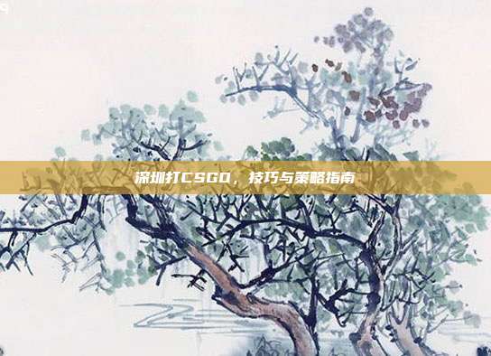 深圳打CSGO,技巧与策略指南