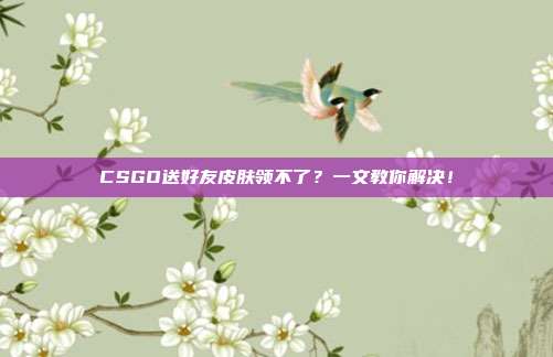 CSGO送好友皮肤领不了?一文教你解决!