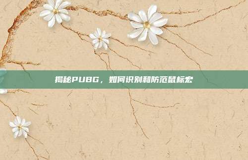 揭秘PUBG,如何识别和防范鼠标宏