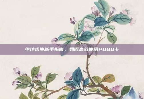绝地求生新手指南,如何高效使用PUBG卡