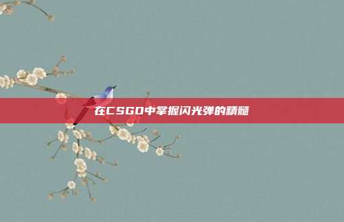 在CSGO中掌握闪光弹的精髓