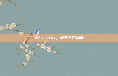 大仁CSGO,新手入门指南