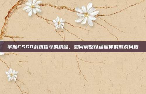 掌握CSGO战术指令的精髓,如何调整以适应你的游戏风格