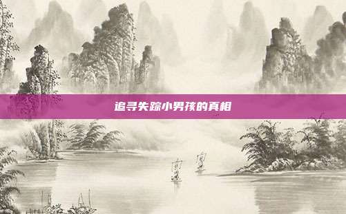 追寻失踪小男孩的真相