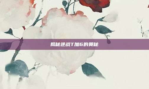 揭秘逆战T加6的奥秘