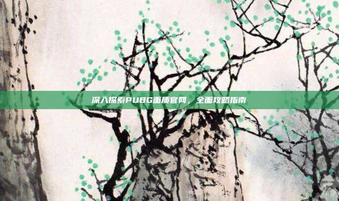 深入探索PUBG面质官网,全面攻略指南