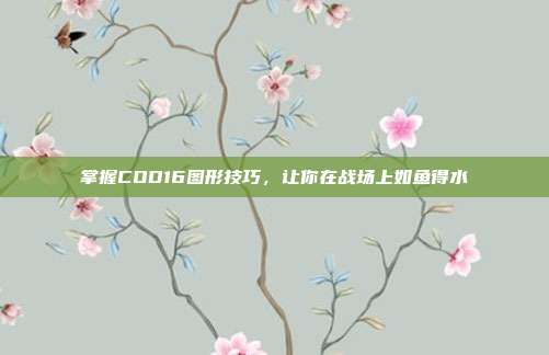掌握COD16图形技巧,让你在战场上如鱼得水