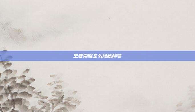 王者荣耀怎么隐藏称号