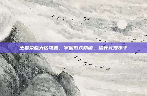 王者荣耀大区攻略,掌握游戏精髓,提升竞技水平