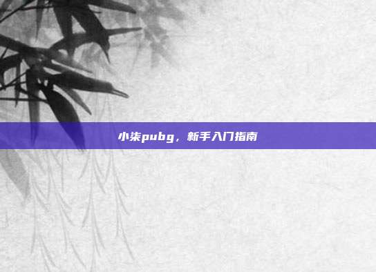 小柒pubg,新手入门指南