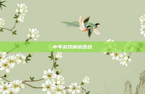 中年游戏解说逆战