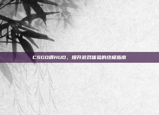 CSGO调HUD,提升游戏体验的终极指南