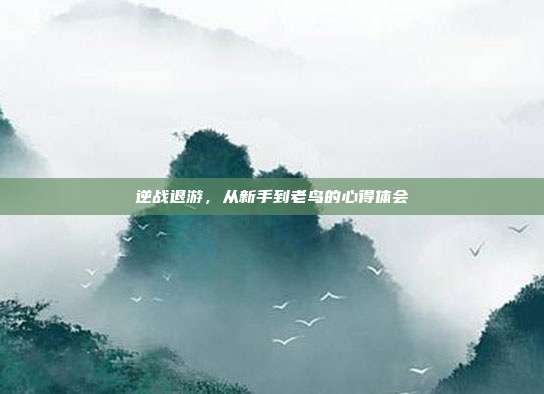 逆战退游,从新手到老鸟的心得体会