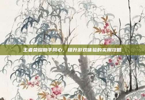 王者荣耀助手同心,提升游戏体验的实用攻略