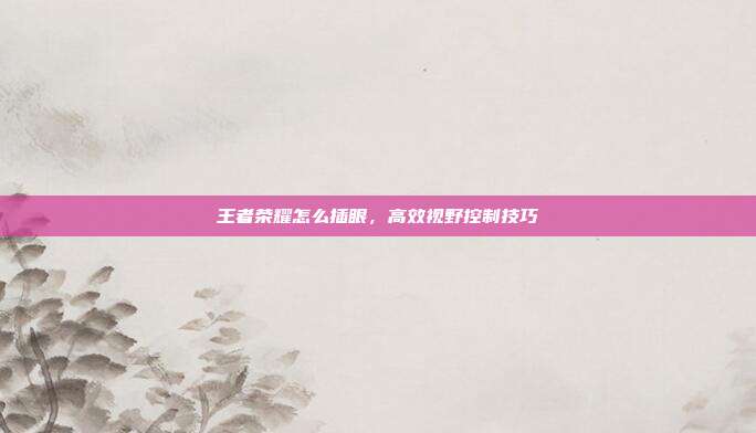 王者荣耀怎么插眼,高效视野控制技巧