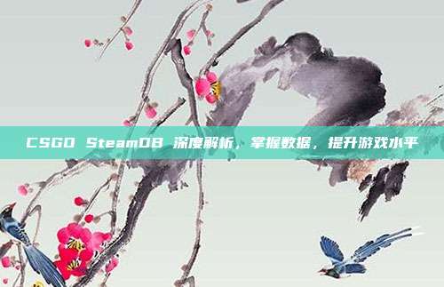 CSGO SteamDB 深度解析,掌握数据,提升游戏水平