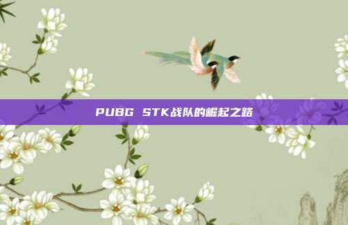 PUBG STK战队的崛起之路