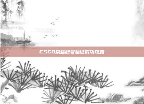 CSGO荣耀账号验证成功攻略