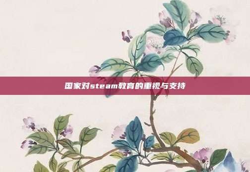 国家对steam教育的重视与支持