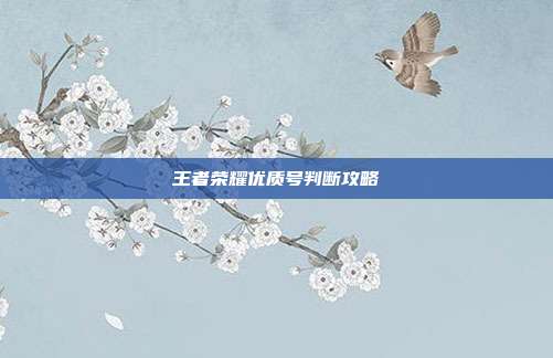王者荣耀优质号判断攻略