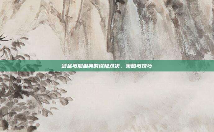 剑圣与加里奥的终极对决,策略与技巧