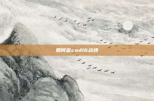 如何查cod16战绩