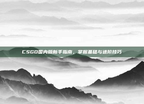 CSGO国内版新手指南,掌握基础与进阶技巧