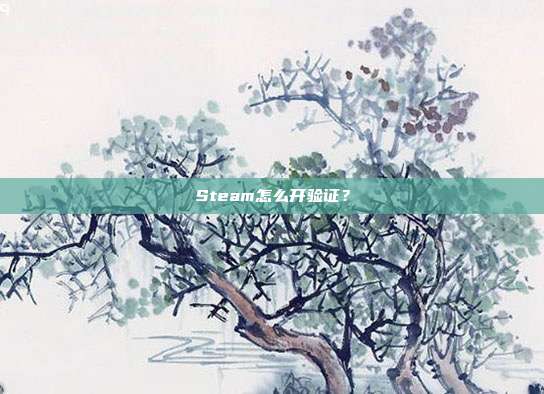 Steam怎么开验证?