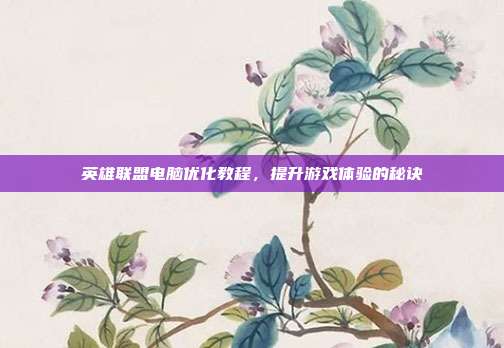 英雄联盟电脑优化教程，提升游戏体验的秘诀