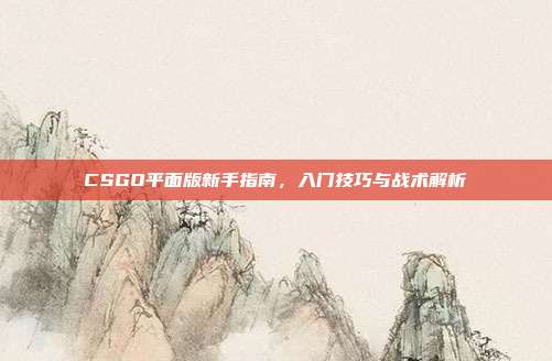 CSGO平面版新手指南,入门技巧与战术解析