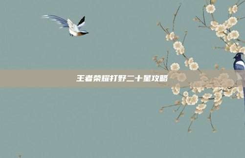 王者荣耀打野二十星攻略